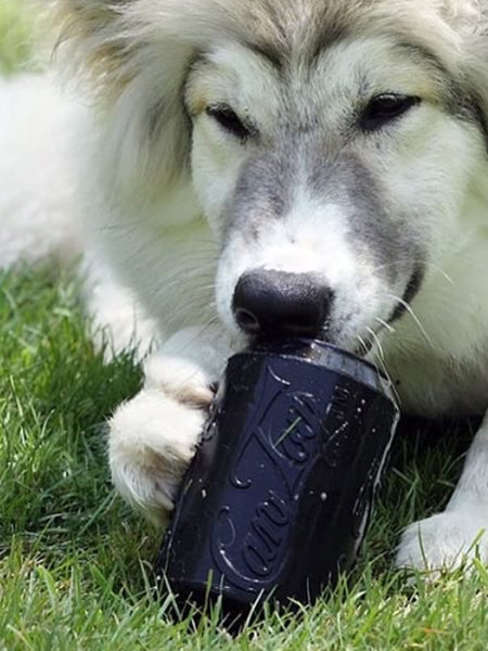 SodaPup-jouet-interactif-pour-chien-chiot-canette-noir