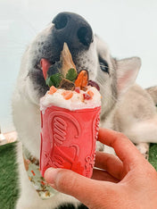 SodaPup-jouet-interactif-pour-chien-chiot-canette-rose