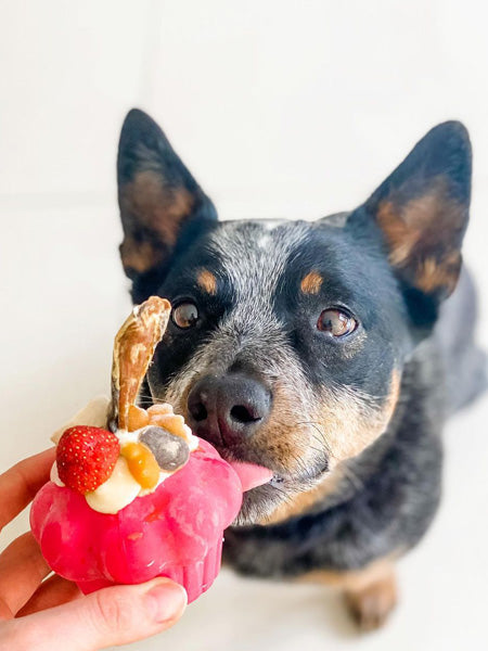 SodaPup-jouet-interactif-pour-chien-chiot-cupcake