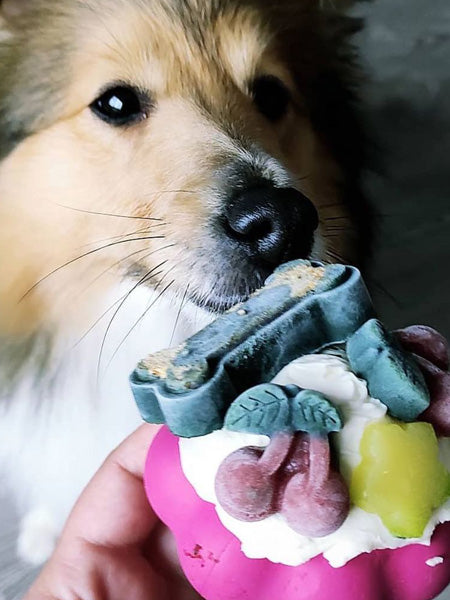 SodaPup-jouet-interactif-pour-chien-chiot-cupcake
