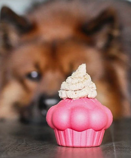 SodaPup-jouet-interactif-pour-chien-chiot-cupcake
