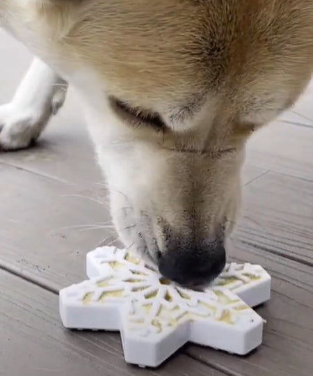 SodaPup-jouet-interactif-pour-chien-chiot-flocon-neige