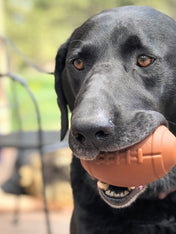 SodaPup-jouet-interactif-pour-chien-chiot-football-us