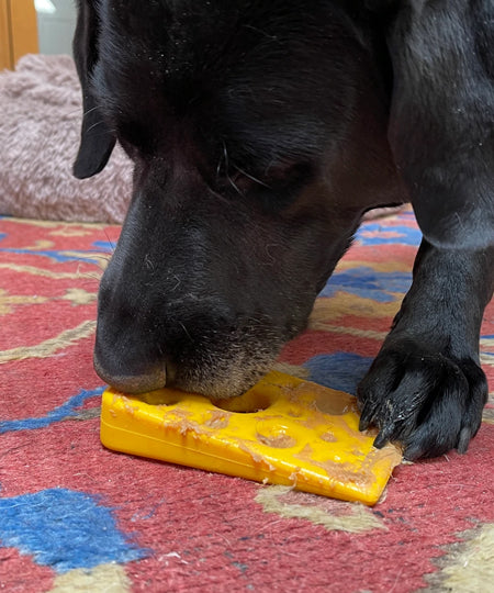 SodaPup-jouet-interactif-pour-chien-chiot-fromage