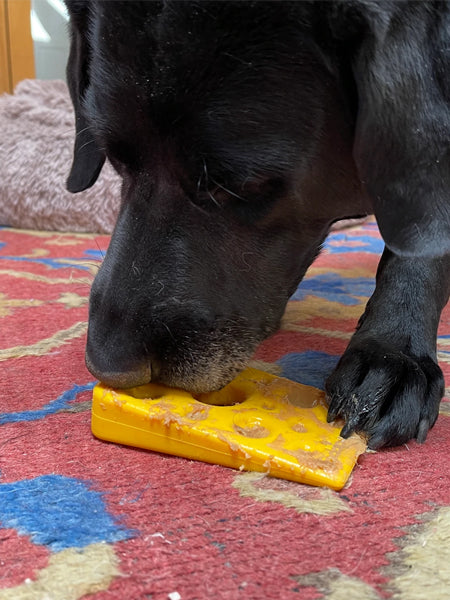 SodaPup-jouet-interactif-pour-chien-chiot-fromage