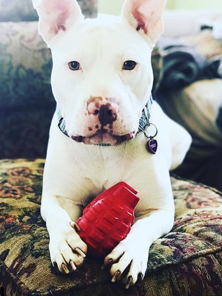 SodaPup-jouet-interactif-pour-chien-chiot-grenade-rouge-k9