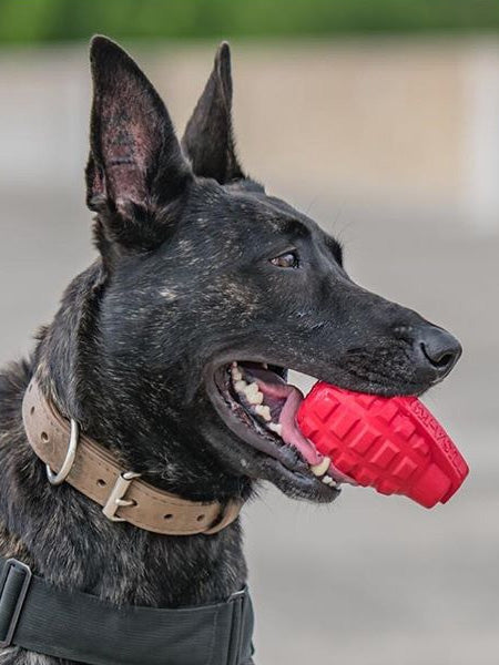 SodaPup-jouet-interactif-pour-chien-chiot-grenade-rouge-k9