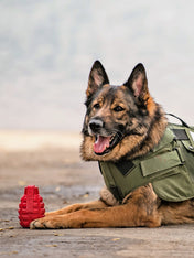 SodaPup-jouet-interactif-pour-chien-chiot-grenade-rouge-k9