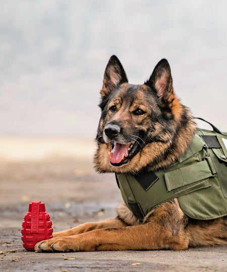 SodaPup-jouet-interactif-pour-chien-chiot-grenade-rouge-k9