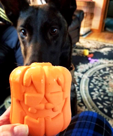 SodaPup-jouet-interactif-pour-chien-chiot-halloween-JACK-O-LANTERN