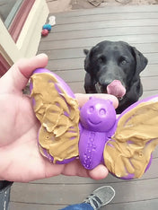 SodaPup-jouet-interactif-pour-chien-chiot-papillon