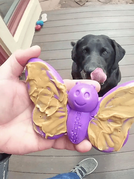 SodaPup-jouet-interactif-pour-chien-chiot-papillon
