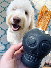 SodaPup-jouet-interactif-pour-chien-chiot-tete-de-mort-noir