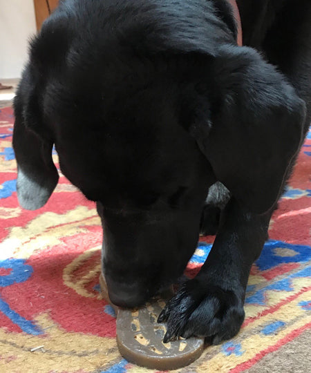 SodaPup-jouet-lechage-pour-chien-chiot-cacahuete