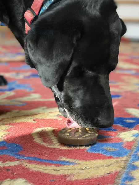 Big-Spoon-Roaster-combo-beurre-cacahuete-jouet-lechage-Sodapup-chien