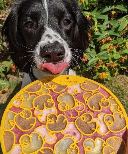 SodaPup-tapis-lechage-bain-emat-interactif-chien-chiot-duckies