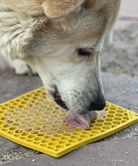 SodaPup-tapis-lechage-emat-pour-chien-chiot-jaune