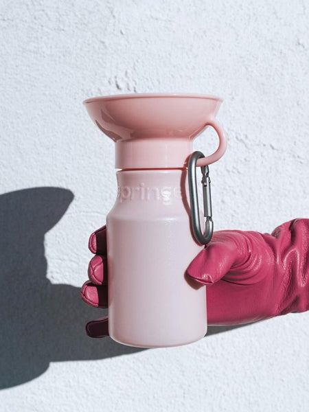 Springer-bouteille-portable-voyage-chien-rose-bonbon