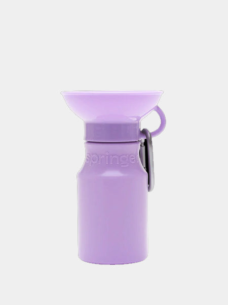 Springer-gourde-distributeur-eau-voyage-chien-violet
