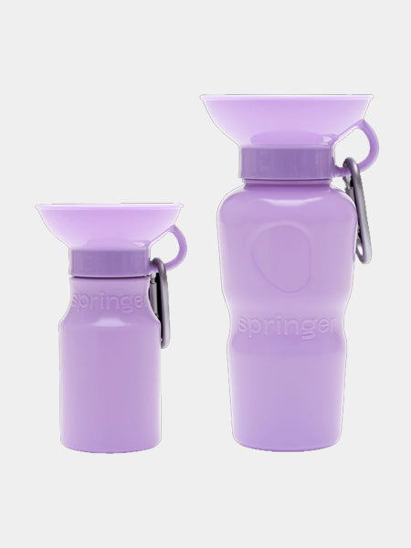 Springer-gourde-distributeur-eau-voyage-chien-violet