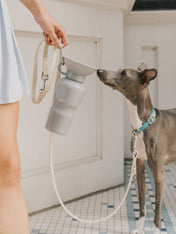 Springer-gourde-distributeur-eau-voyage-chien
