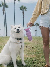 Springer-gourde-distributeur-eau-voyage-chien-violet