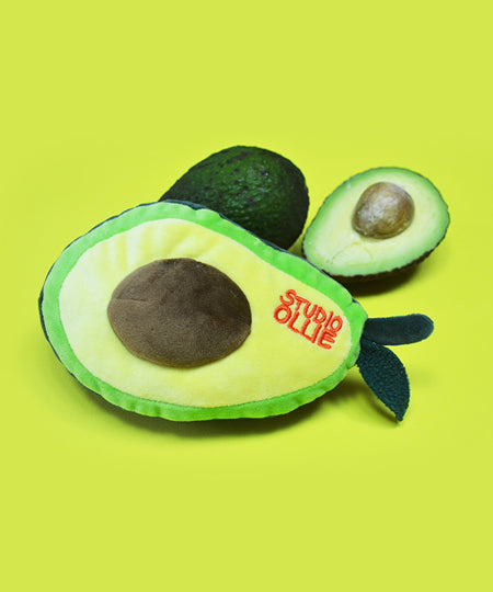 Studio-Ollie-jouet-enrichissement-chien-avocat