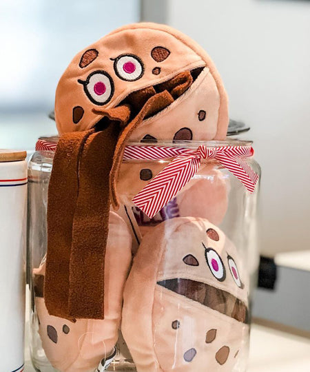 Studio-Ollie-jouet-enrichissement-chien-cookies