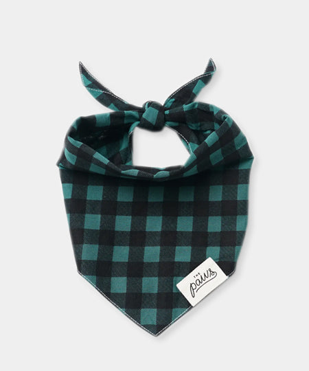 The-Paws-bandana-pour-chien-Bourbon