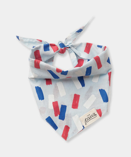The-Paws-bandana-pour-chien-Dazzle
