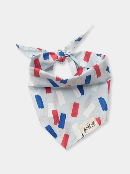 The-Paws-bandana-pour-chien-Dazzle