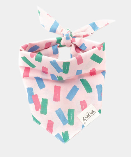The-Paws-bandana-pour-chien-Funfetti