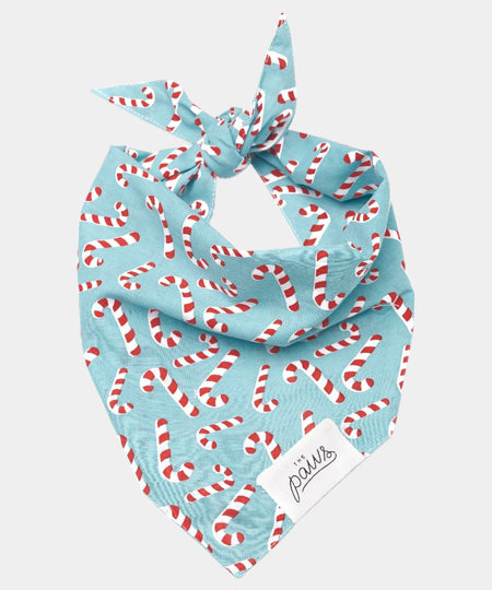 The-Paws-bandana-pour-chien-candyland-bleu