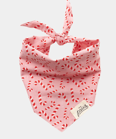 The-Paws-bandana-pour-chien-candyland-rose.