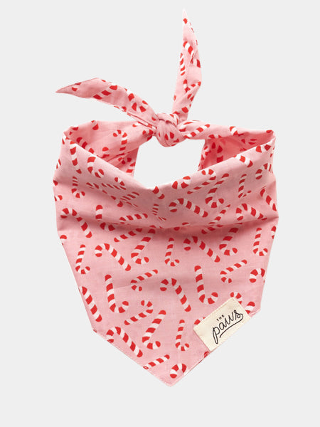 The-Paws-bandana-pour-chien-candyland-rose.