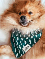 The-Paws-bandana-pour-chien-forest