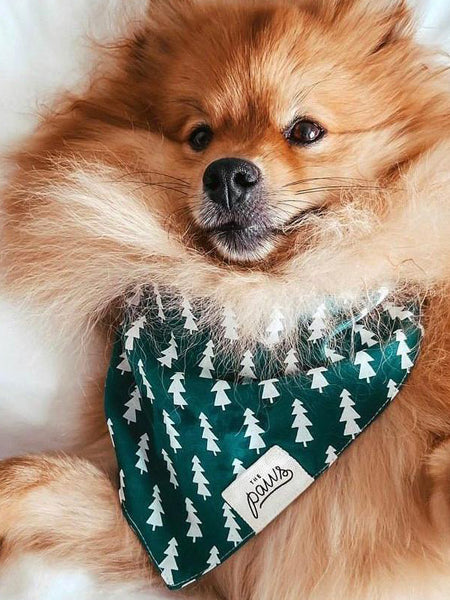 The-Paws-bandana-pour-chien-forest