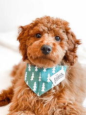 The-Paws-bandana-pour-chien-forest