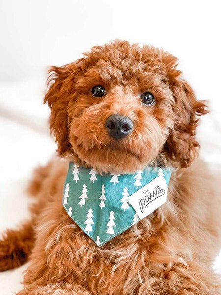 The-Paws-bandana-pour-chien-forest