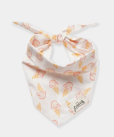 The-Paws-bandana-pour-chien-glace