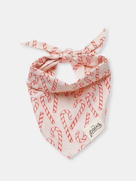 The-Paws-bandana-pour-chien-noel-Elfie-sucre-orges