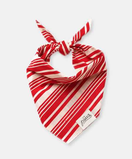 The-Paws-bandana-pour-chien-noel-Sugar