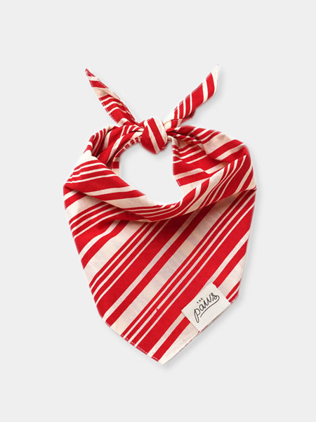 The-Paws-bandana-pour-chien-noel-Sugar