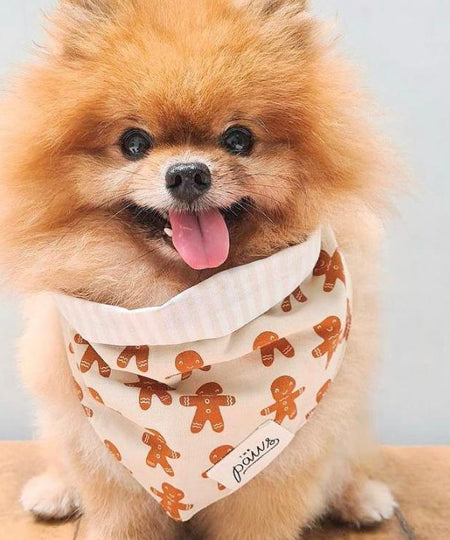 The-Paws-bandana-pour-chien-pain-epice