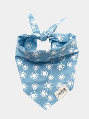 The-Paws-bandana-pour-chien-sunday