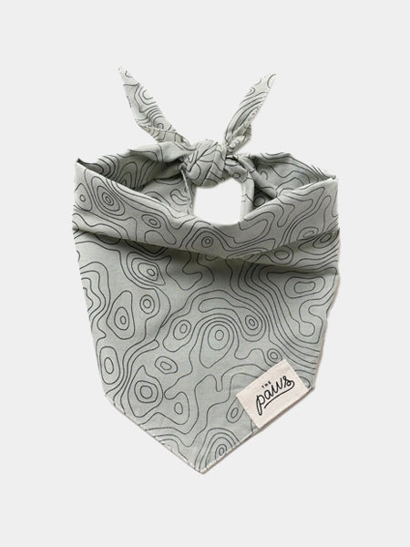 The-Paws-bandana-pour-chien-trail