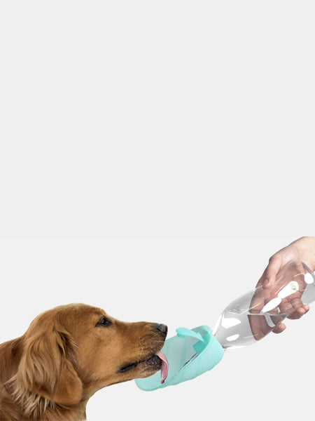 United-pets-gourde-eau-pour-chien-leaf-bleu