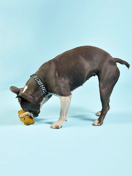 United-pets-jouet-latex-chien-PIGS-Wursty