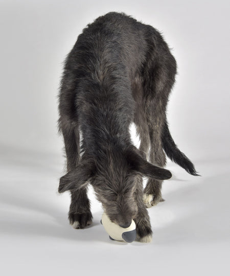 United-pets-jouet-latex-chien-happy-farm-nora-mouton