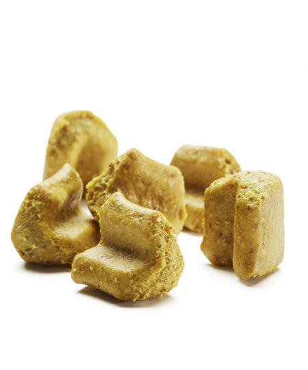 Vegdog-friandises-vegan-chien-renfort-immunitaire